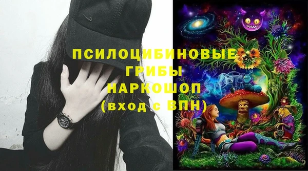 соль ск Волосово