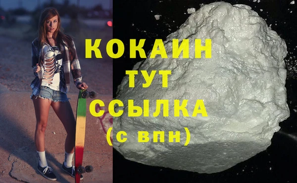 соль ск Волосово