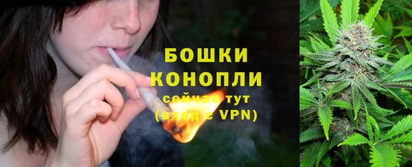 соль ск Волосово