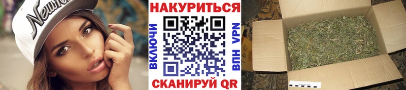 где купить наркотик  KRAKEN зеркало  МАРИХУАНА индика  Покров 